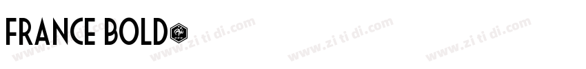France Bold字体转换